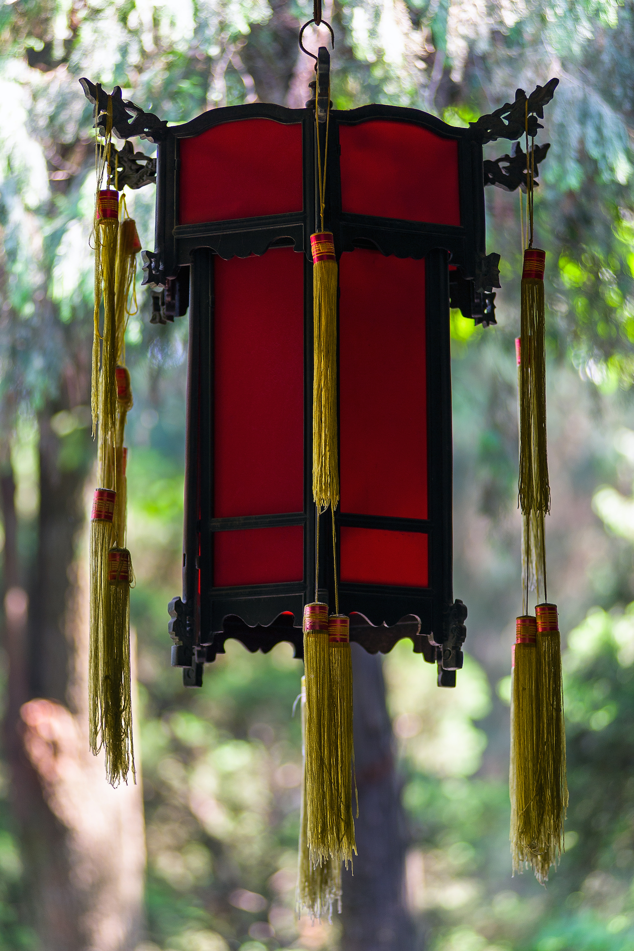 Chengdu Lantern