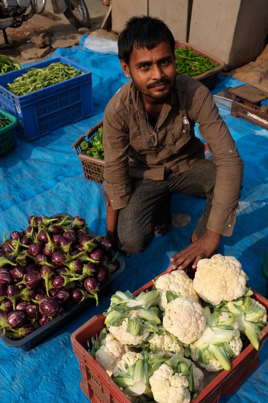 Market Gardener