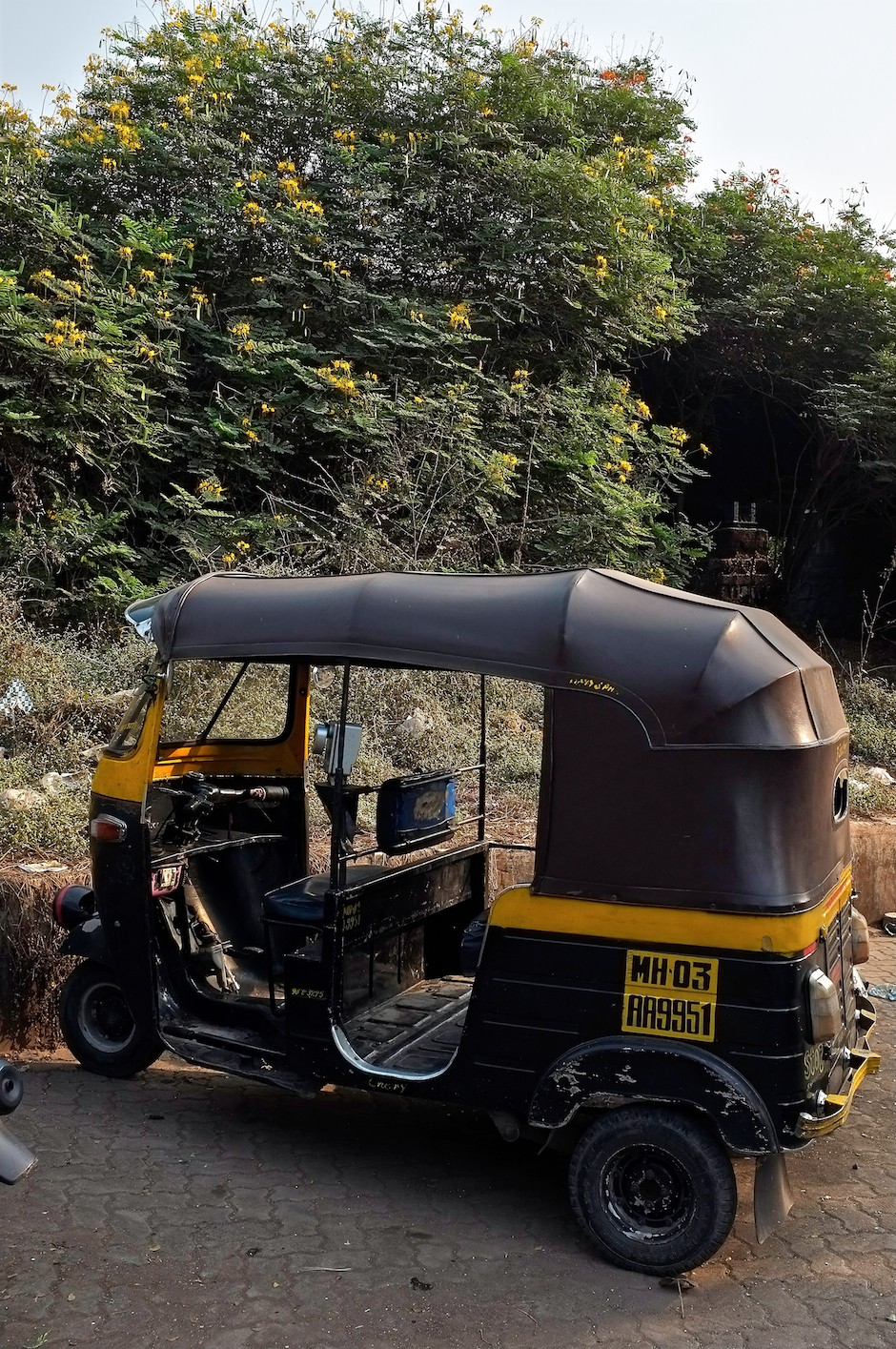 Auto Rickshaw Taxi