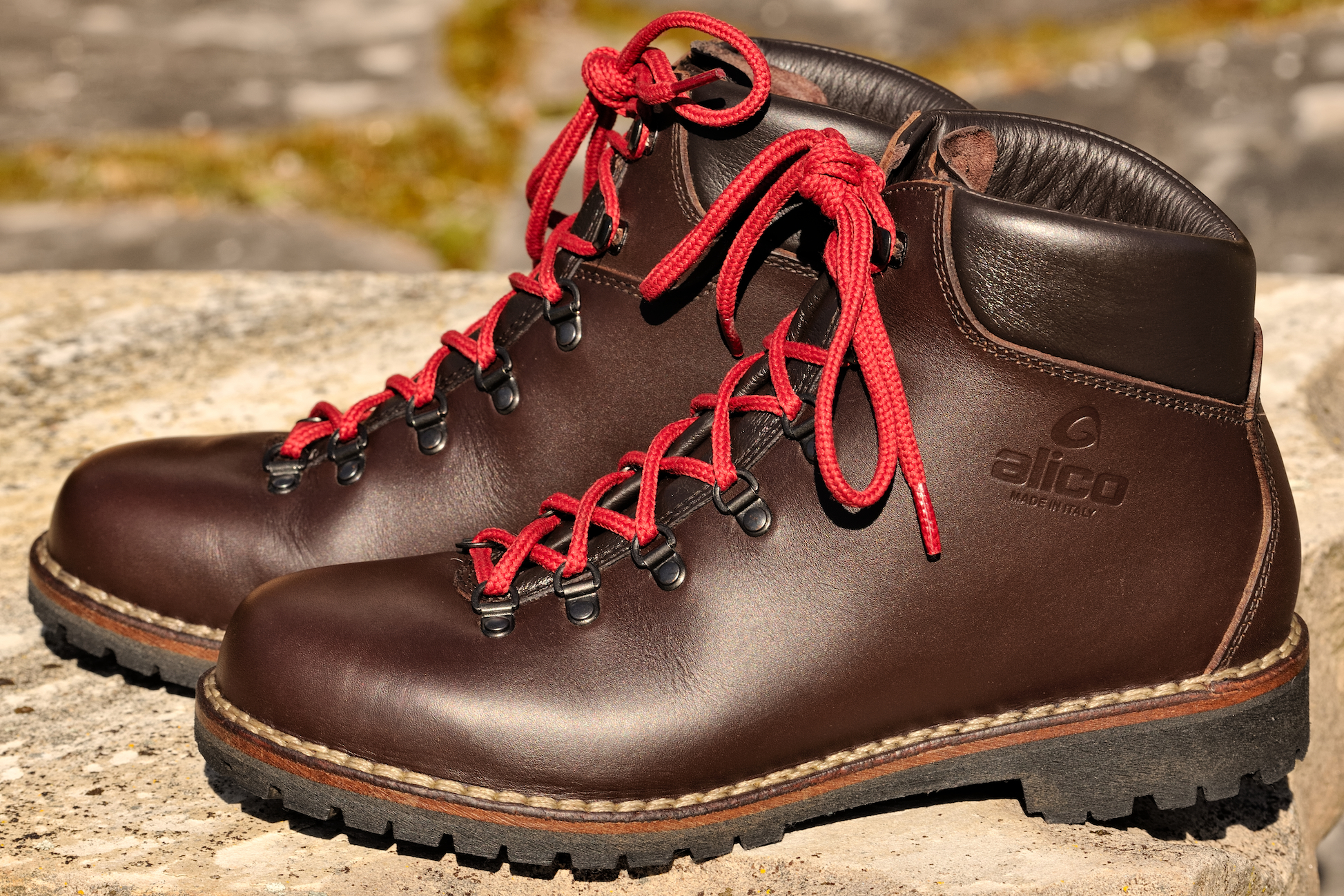 _RLC7176_Hiking Boots