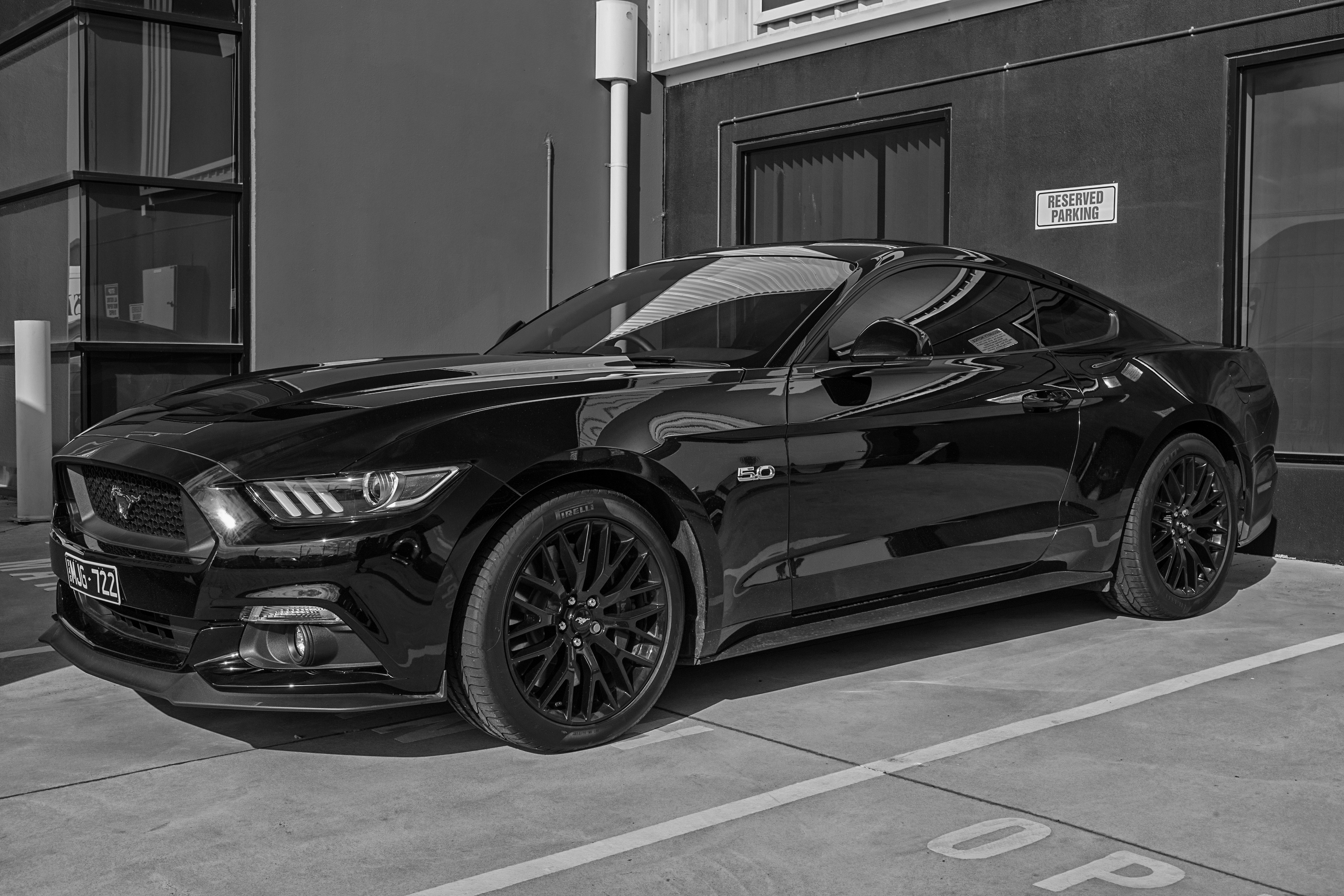 Black Mustang - Toll