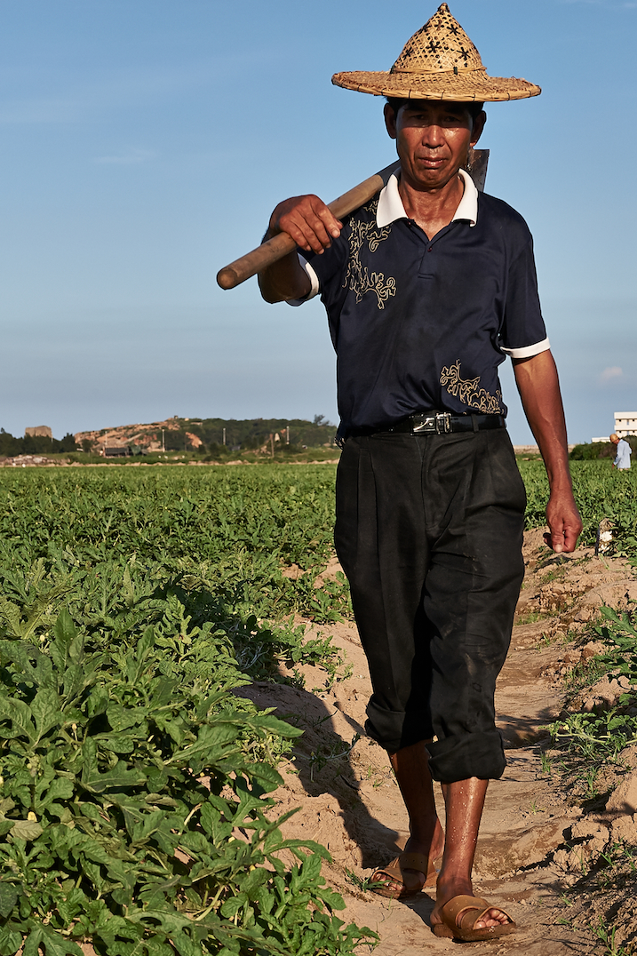 Farm Worker Fuzhou, Fujian Province, China