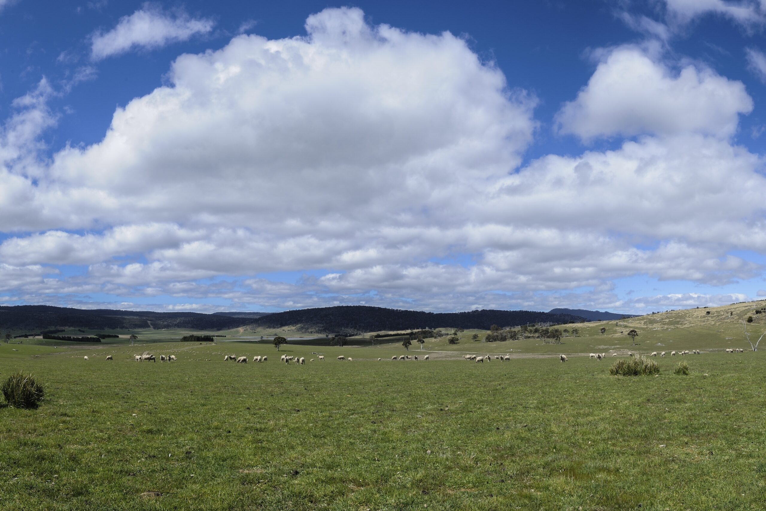 _D3S6825-35NX2_Weasel Plains, Central Highlands, Tasmania Weasel Plains, Central Highlands, Tasmania